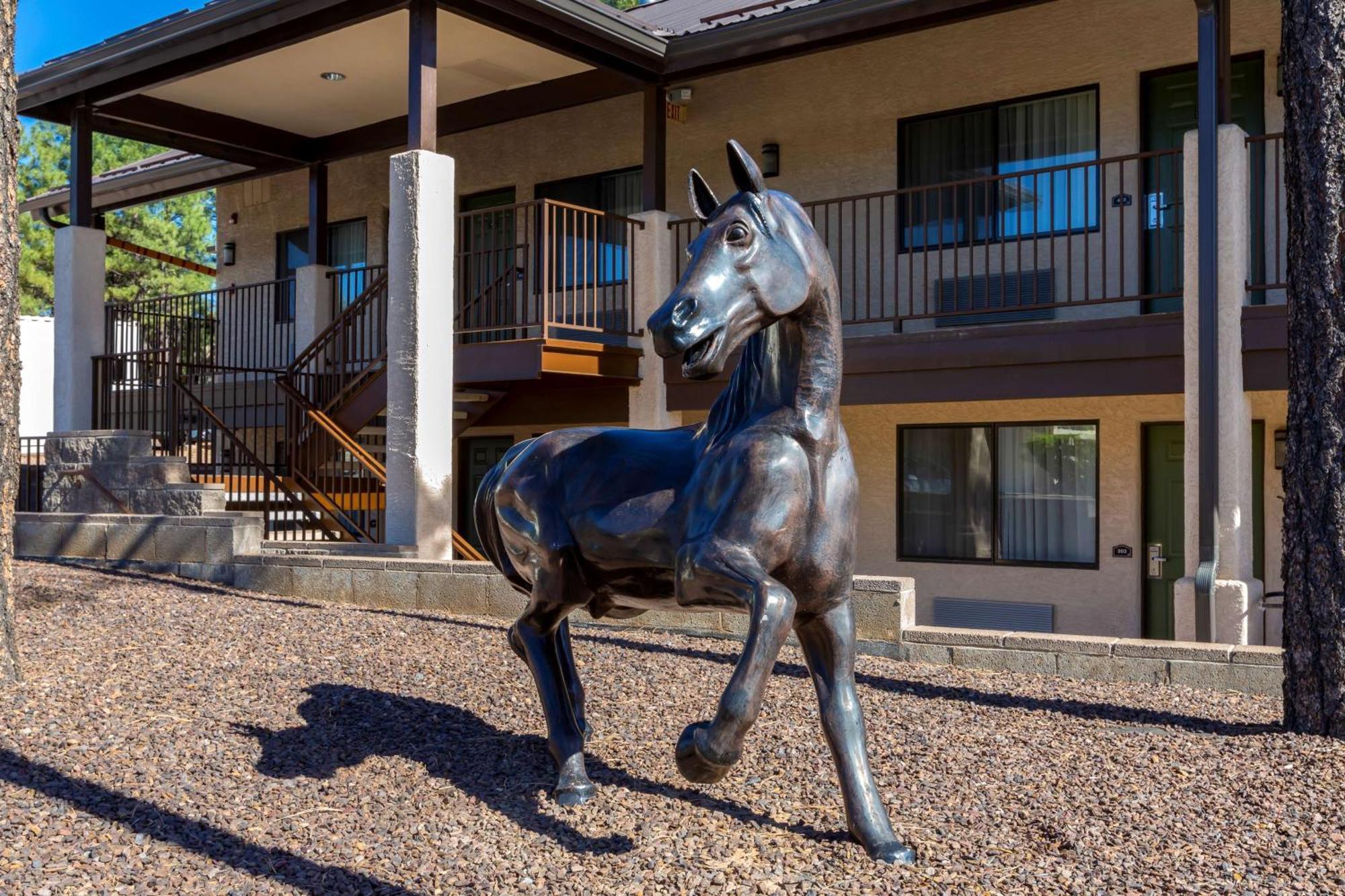 Best Western Paint Pony Lodge Show Low Esterno foto